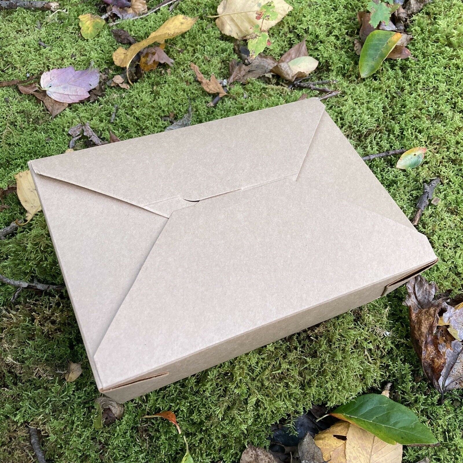 Live Terrarium Moss Assortment, 6 x 9 bag. – Tin Roof Treasure