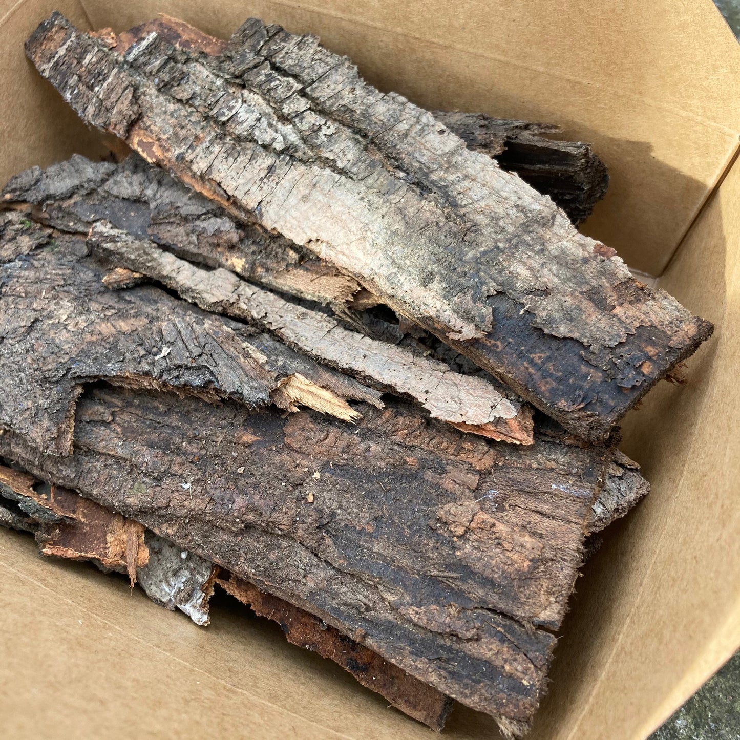 Tree Bark Pieces