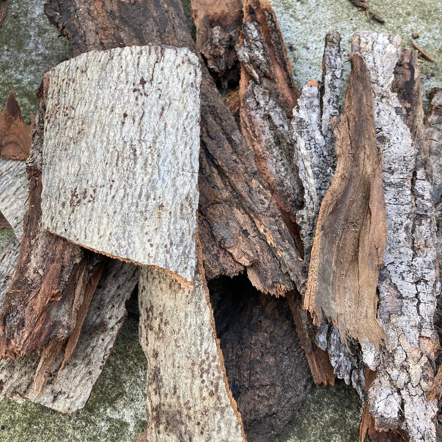 Tree Bark Pieces