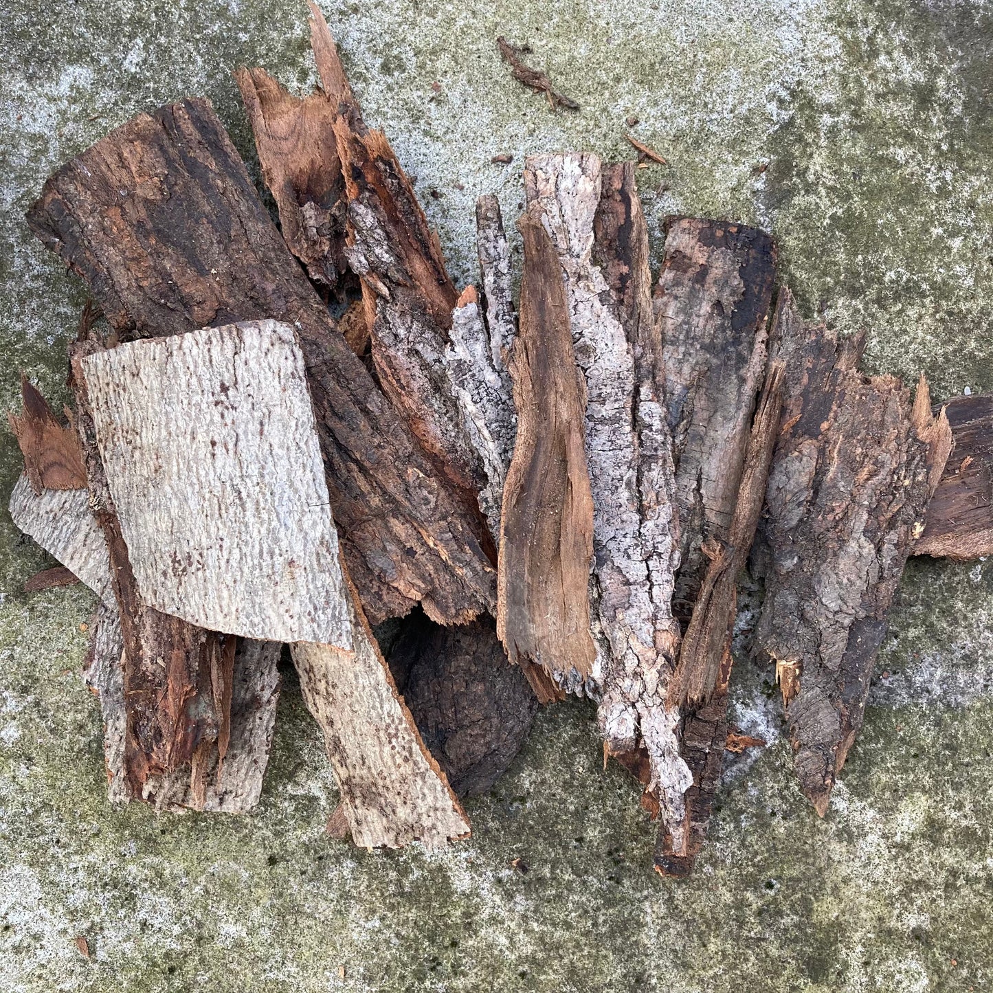 Tree Bark Pieces