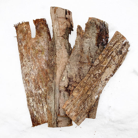 Bark Sheets from Hardwood Tree Species